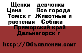 Щенки - девчонки › Цена ­ 2 - Все города, Томск г. Животные и растения » Собаки   . Приморский край,Дальнегорск г.